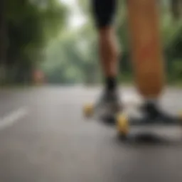 A selection of longboards showcasing different designs and sizes.