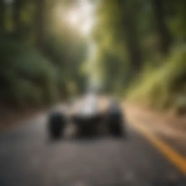 An Arbor longboard in action on a scenic downhill path