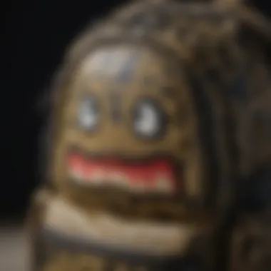 Functional Features of BAPE Backpack Close-up of BAPE backpack's functional features