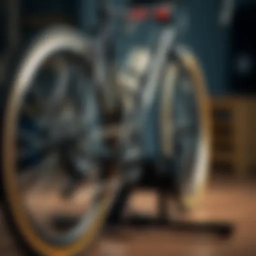 Detailed view of a high-quality bike manual trainer showcasing its robust build.