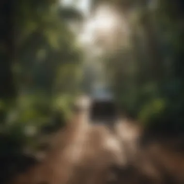 Explore the Lush Hinterland Surrounding Byron Bay Lush hinterland of Byron Bay showcasing vibrant greenery