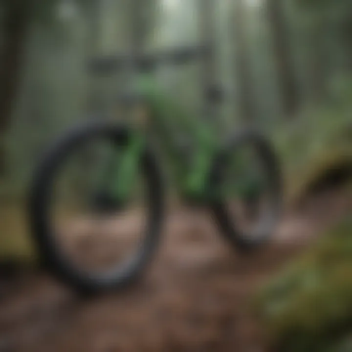 Cannondale MTB on a rugged trail