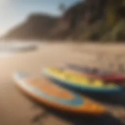 Diverse paddle boards lined up on the beach