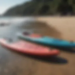 Different types of paddle boards lined up on the shore