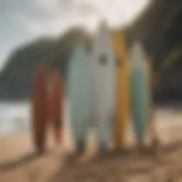 A diverse range of surfboards on display, showcasing different shapes and sizes.