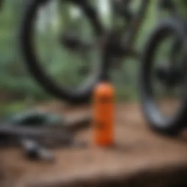 Essential tools for mountain bike cleaning