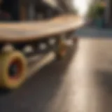 Visual representation of various types of longboard decks.