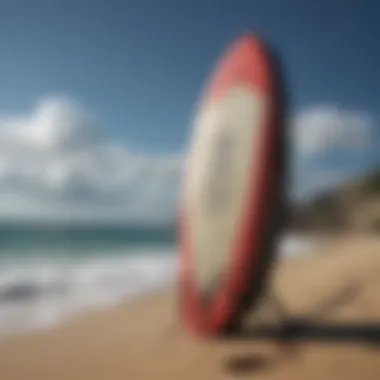 Stylish Designs of Surfboard Bags A visually appealing surfboard bag in diverse designs