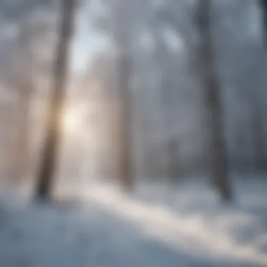 Trees and Snow: A Harmonious Winter Wonderland A serene landscape showcasing trees blanketed in snow, illustrating the intersection of nature and winter sports.
