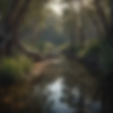 Ecological Richness of Billabongs Detailed view of unique flora and fauna around a billabong