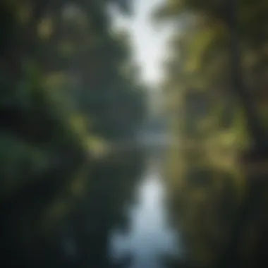 Lush Beauty of Billabong Vibrant billabong landscape showcasing lush greenery and tranquil waters