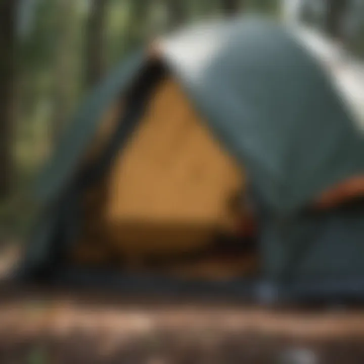 An outdoor tent showing a damaged section being repaired with tape.