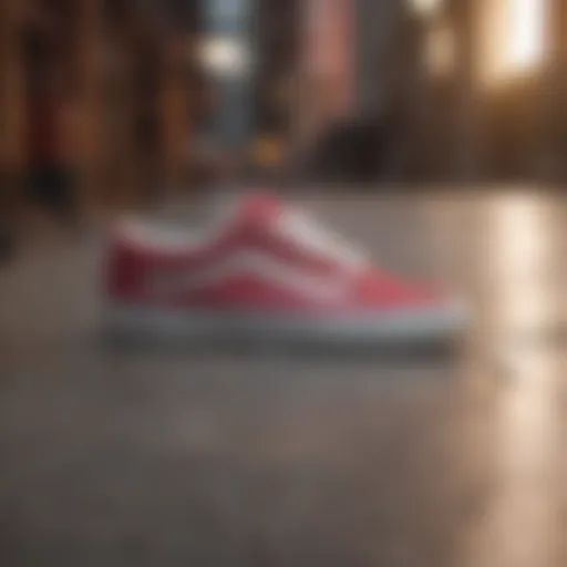 Stylish Vans shoes displayed on a vibrant background