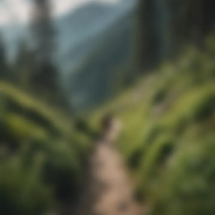 Hikers enjoying a scenic trail with lush greenery