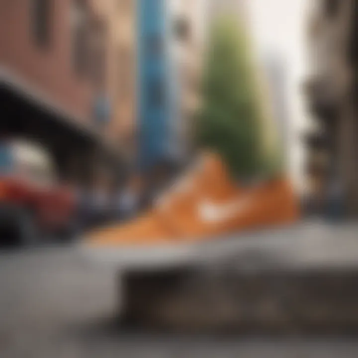 Nike Skate Janoski displayed in a vibrant urban setting.