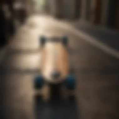 A collection of various longboards showcasing unique designs and materials.