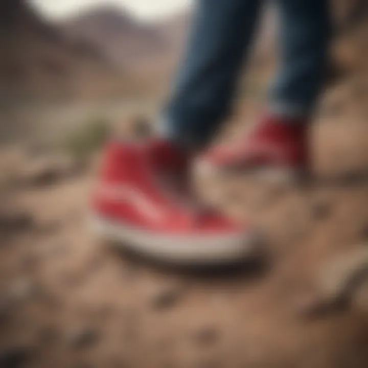 Side view of Santa Cruz Vans shoes on a rugged terrain