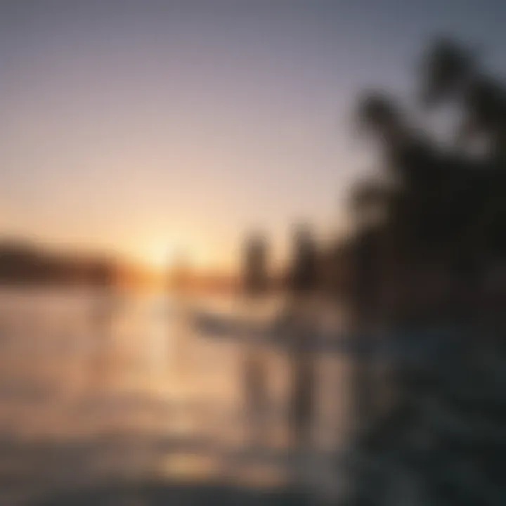 Group of paddlers enjoying a sunset on paddle boards