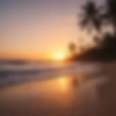 Sunset over a tranquil beach with surfboards in the foreground