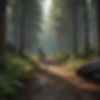 A Scenic Forest Venue for Thrill Seekers A scenic view of a forested area for outdoor adventure