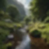 Lush, secluded valley hidden in the heart of Ireland
