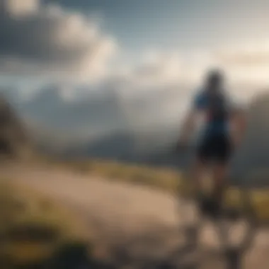 A scenic view of a cyclist overlooking a mountain landscape