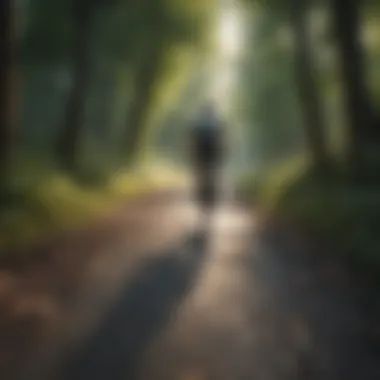 An individual cycling through a serene forest path