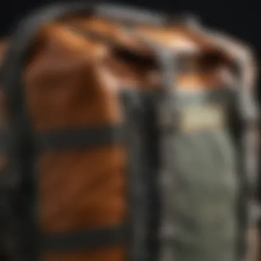 Close-up of the Patagonia duffle backpack features