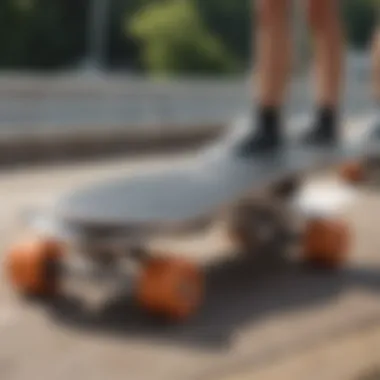 An array of different penny surfskate models displayed on a scenic background