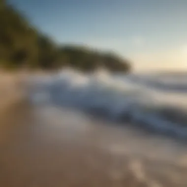 Coastal landscape showcasing the unique geographical features of Manasota Key