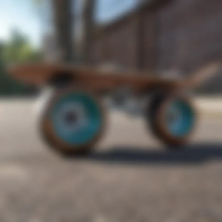 Close-up of cruiser skateboard wheels and deck