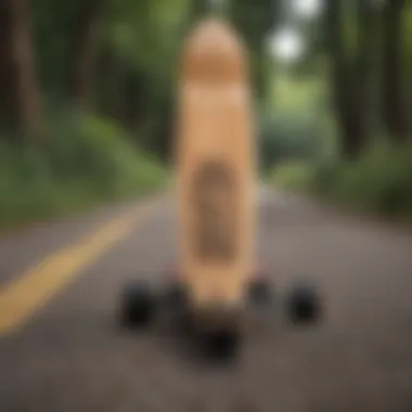 Comparison of a foldable longboard and a traditional longboard in a scenic outdoor setting