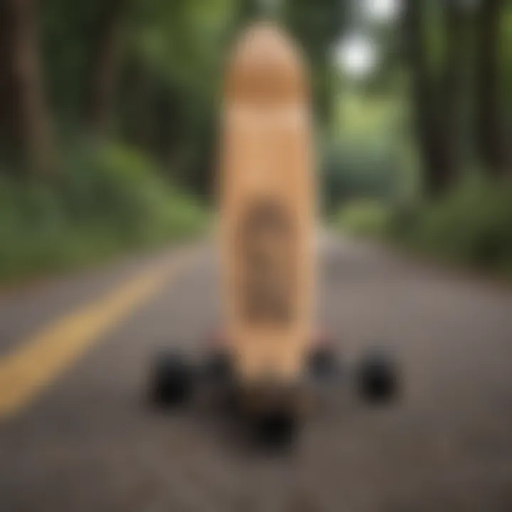 Comparison of a foldable longboard and a traditional longboard in a scenic outdoor setting