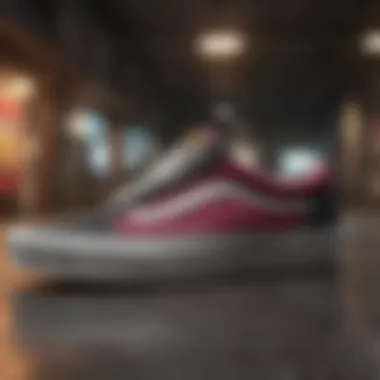 Customization Options for Vans Footwear Personalized Vans canvas shoes with custom designs