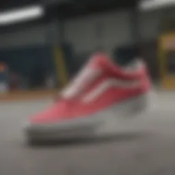 Vans skating shoes showcasing innovative design