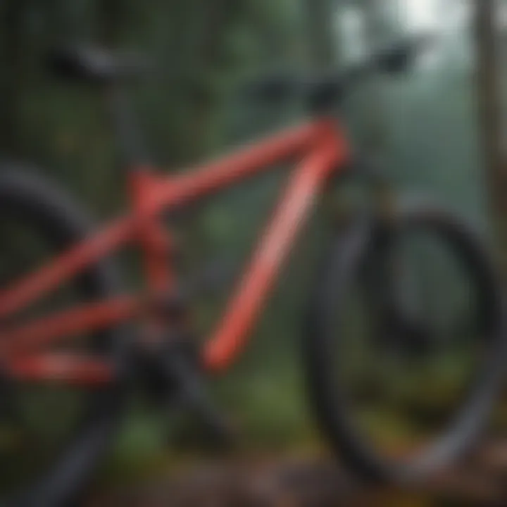 Close-up of specialized freestyle mountain biking gear