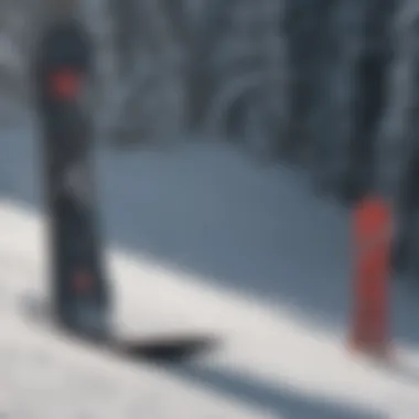 Visual comparison of different GNU snowboard models