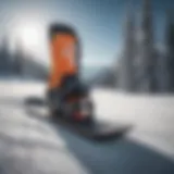 Different snowboard types displayed for comparison