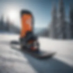 Different snowboard types displayed for comparison