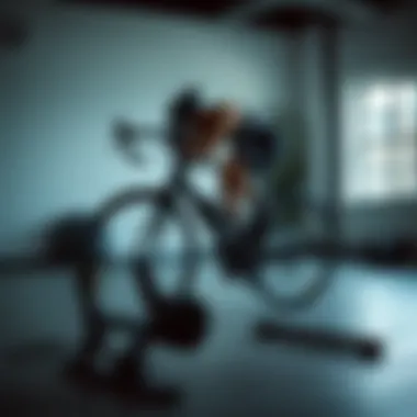 Indoor Cycling Setup An indoor cycling setup featuring a bike manual trainer in a well-lit environment.