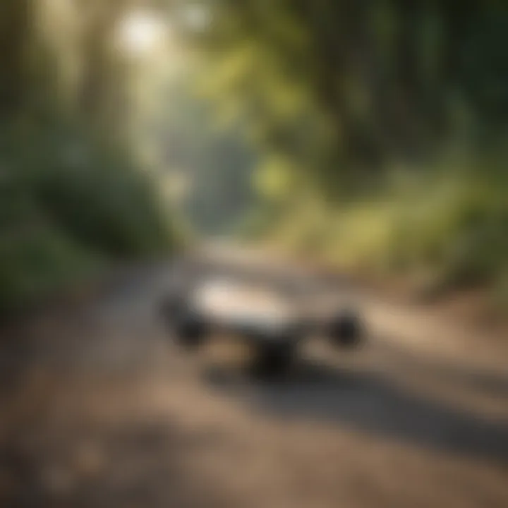 Longboard on a scenic pathway surrounded by nature