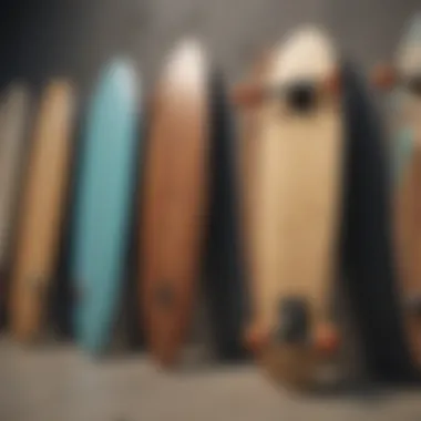 Different styles of long boards displayed side by side