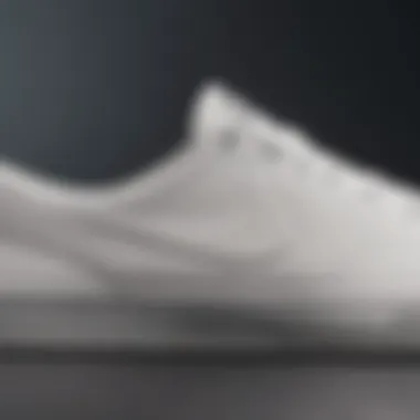 Side profile of the Nike SB Shane Premium White demonstrating its sleek design