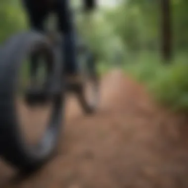 A Pedego bike with new replacement tires on a scenic trail