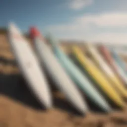 Different surfboard lengths lined up on the beach