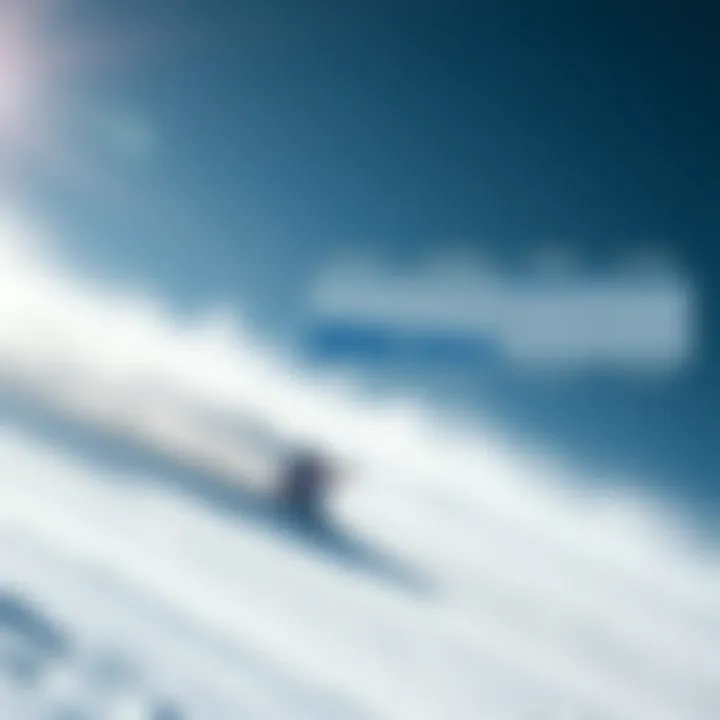 Performance analysis chart for snowboard profiles