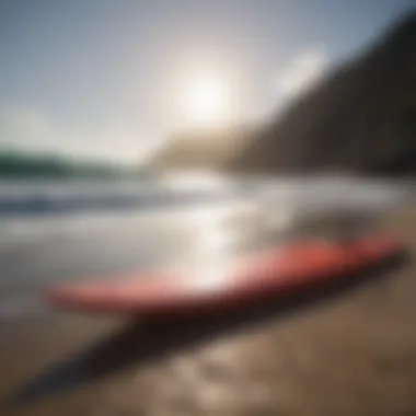 A collection of diverse surfing equipment displayed creatively
