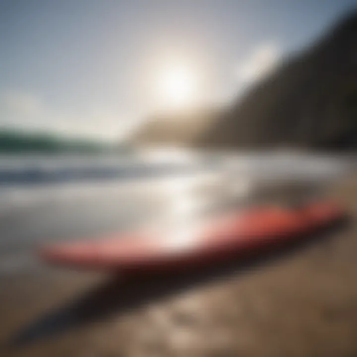 A collection of diverse surfing equipment displayed creatively