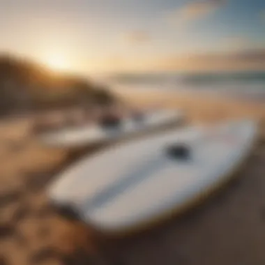 An array of surfboards displayed on the beach