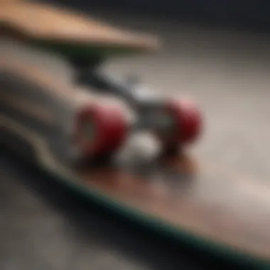 Sustainable Skate Deck Displays A sustainable approach to hanging skate decks using eco-friendly materials that reflect modern design principles